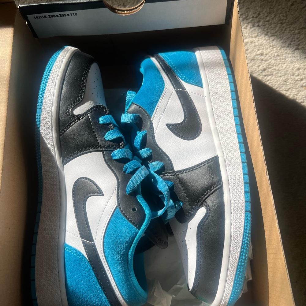 Low top Jordan 1s